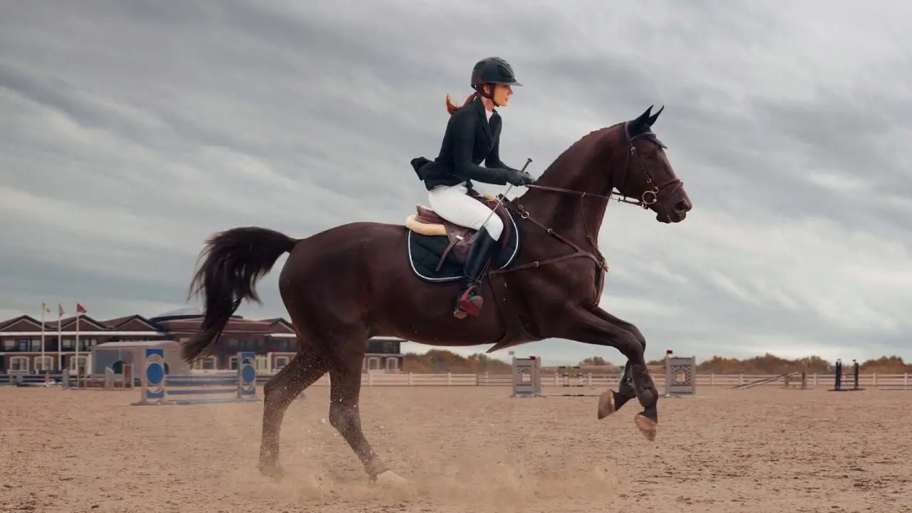 First training with racehorses